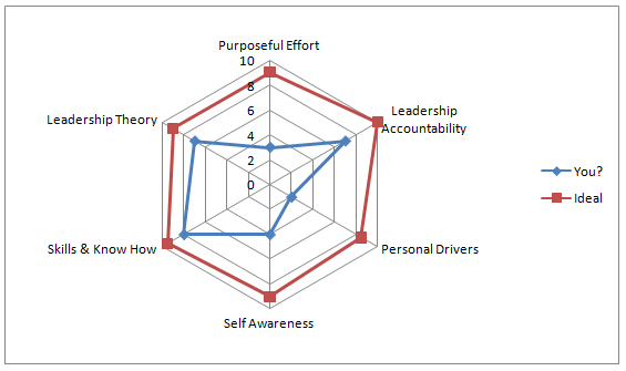 spider-web graph leadership factors