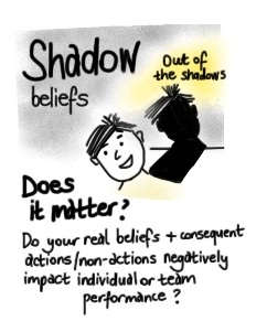 shadow beliefs - do they matter